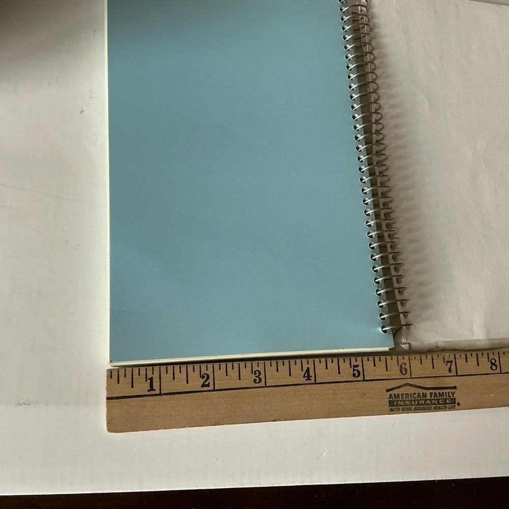 St. Catherine's Vintage Centennial Cookbook Oyens Iowa Spiral Bound 2000
